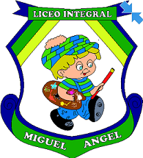 Aula Virtual Miguel Angel
